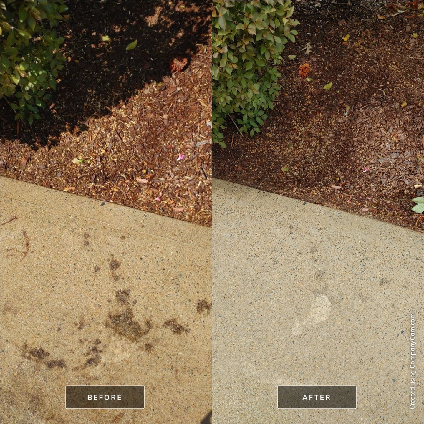 Driveway cleaning and oil removal in Apex, NC No Pressure Power Washing