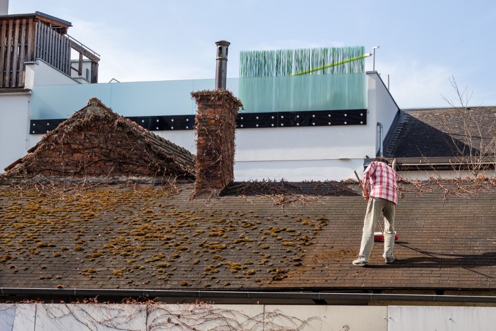 Roof clean