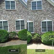 Window Cleaning vs. Pressure Washing: What Each Service Actually Fixes