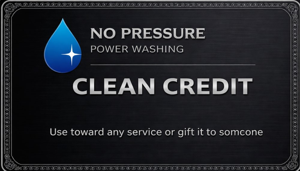 Clean Credit - Use toward any service or gift it to someone